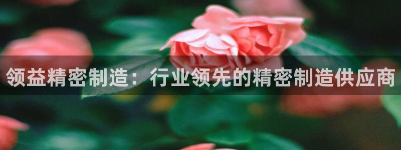 彩神v下载安装
