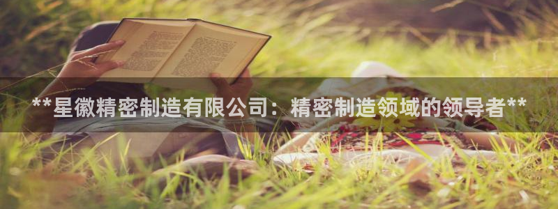 彩神iv是正规平台吗?：**星徽精密制造有限公司：精密制造领域的领导者**