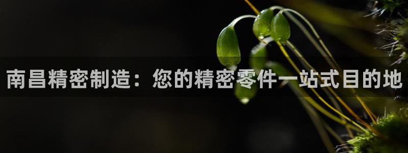 彩神平台可以破解吗：南昌精密制造：您的精密零件一站式目的地