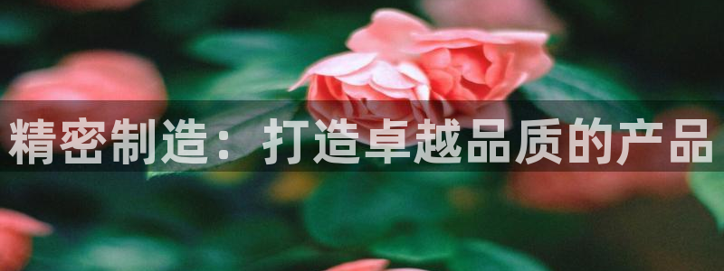 彩神v8官网版