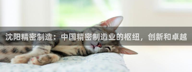 大发彩神争：沈阳精密制造：中国精密制造业的枢纽，创新和卓越