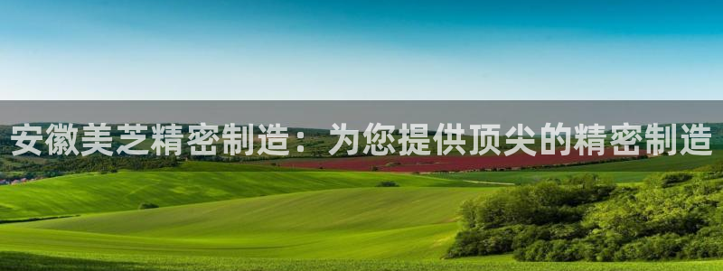 彩神数码科技有限公司：安徽美芝精密制造：为您提供顶尖的精密制造