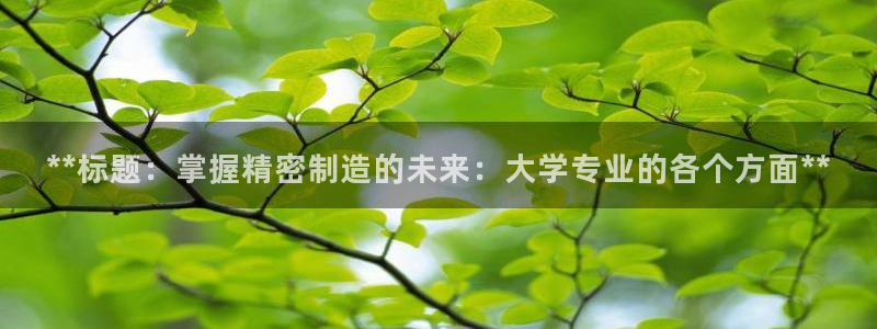 彩神通官方网：**标题：掌握精密制造的未来：大学专业的各个方面**