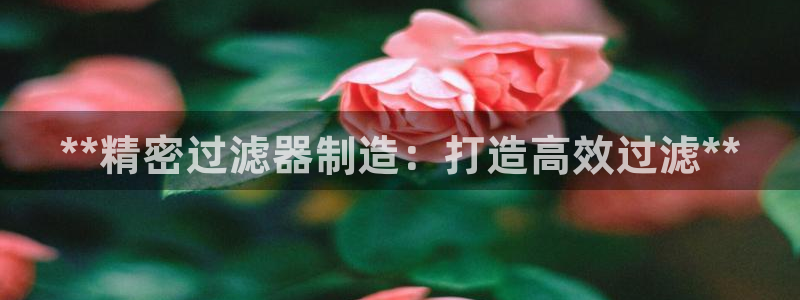 大发彩神争