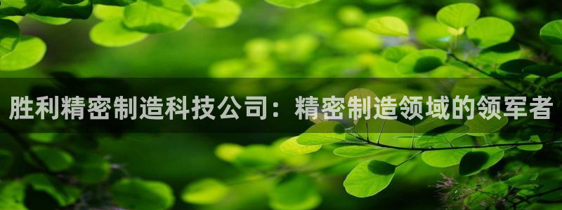 彩神8彩平台
