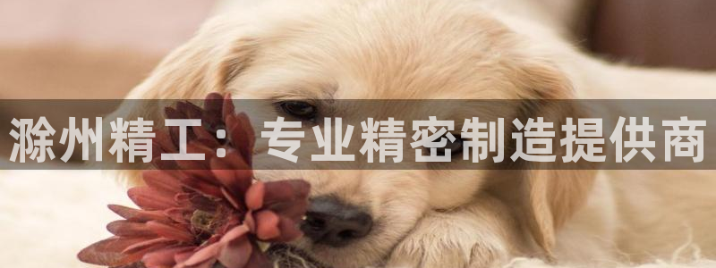 彩神v8是一个什么平台