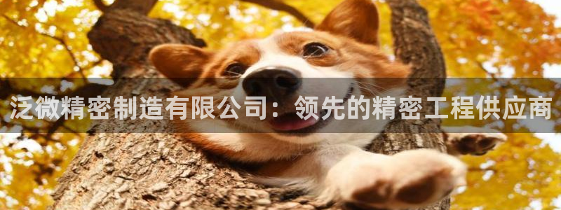 彩神大发是不是人为操作