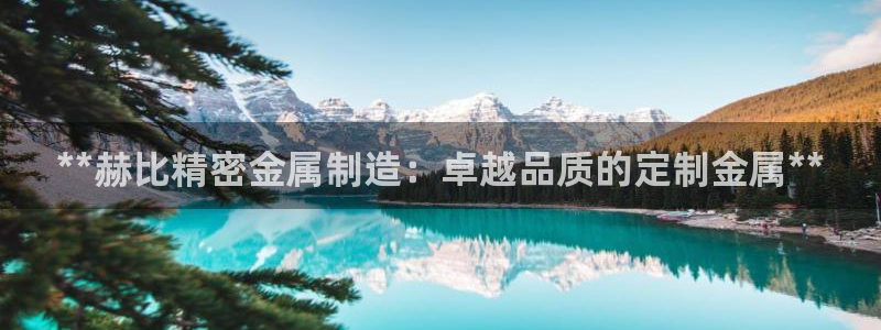 彩神网官网登录