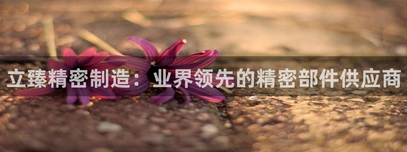 彩神v8手机客户端