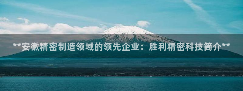 彩神官方网站登录是多少：**安徽精密制造领域的领先企业：胜利精密科技简介**