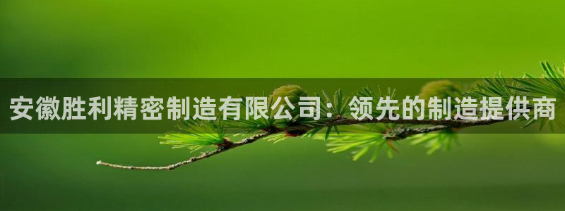 彩神v8几个版本