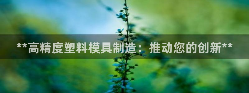 彩神通关注码金码对应码