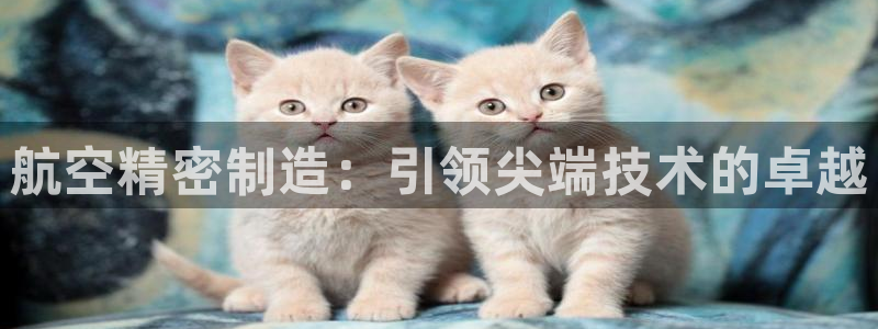 彩神vip购彩