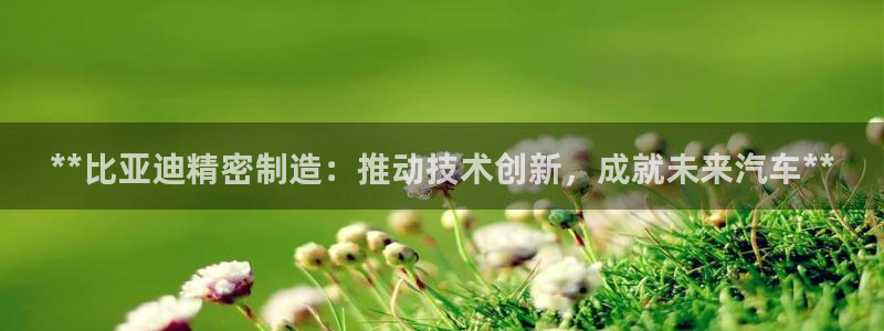 彩神v集团有限公司