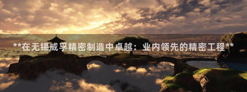 彩神ix官网是哪个公司的