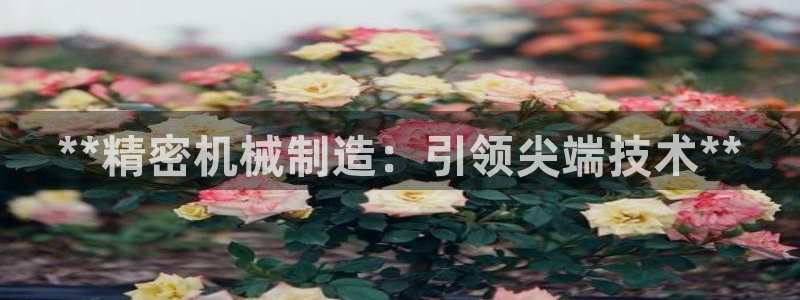 彩神客服电话