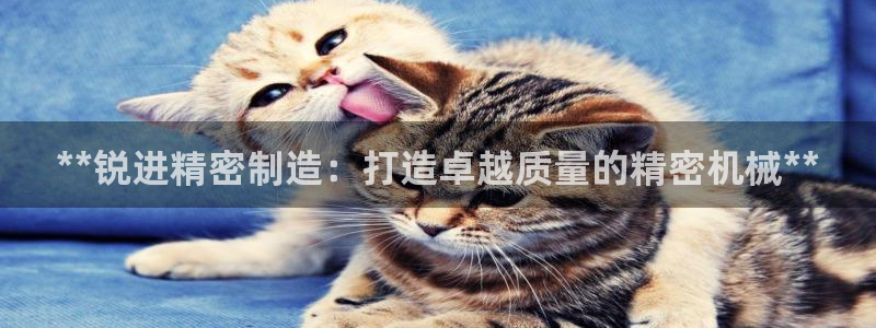 彩神大发云