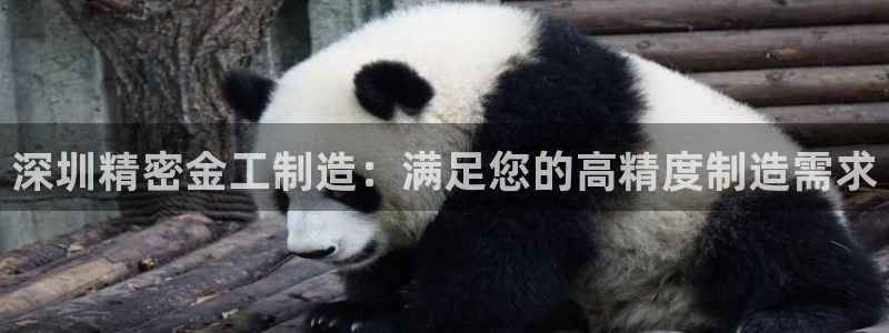 彩神赢了钱登录不上去