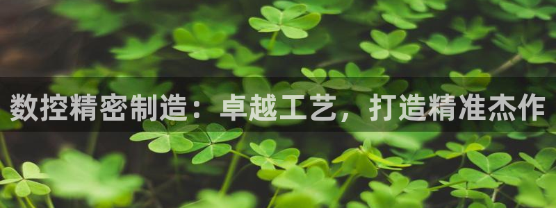 彩神平台可以破解吗