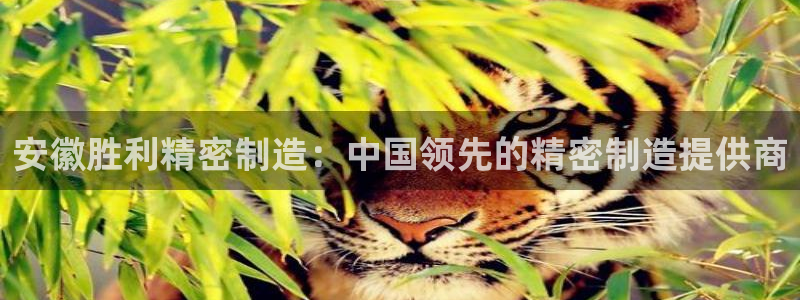 彩神8彩平台官网：安徽胜利精密制造：中国领先的精密制造提供商