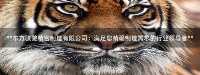 彩神8软件下载：**东方骏驰精密制造有限公司：满足您精确制造需求的行业领导者**