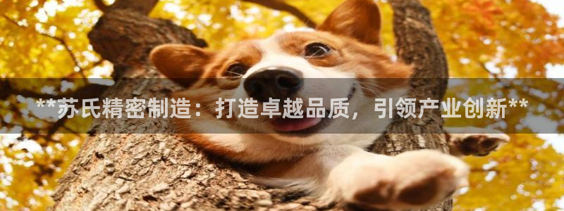 彩神vll首页：**苏氏精密制造：打造卓越品质，引领产业创新**