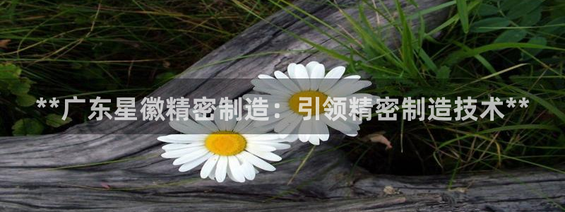 彩神ix官网是哪个公司的：**广东星徽精密制造：引领精密制造技术**