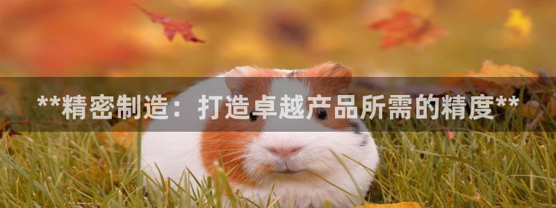 彩神app赚钱是真是假：**精密制造：打造卓越产品所需的精度**