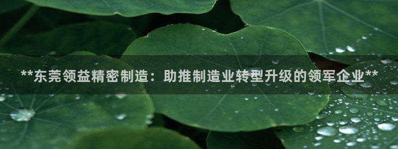 彩神是什么平台的游戏