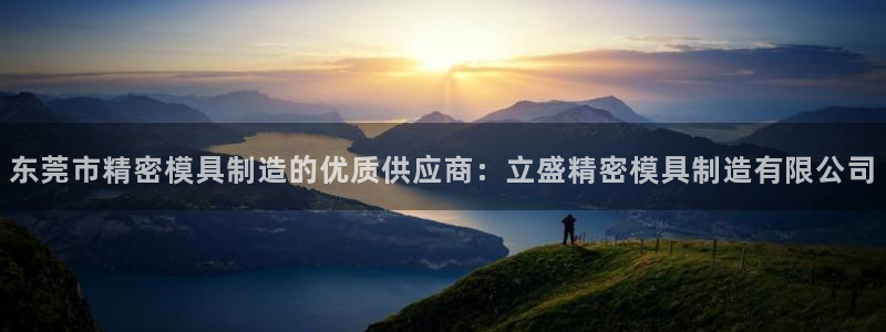 彩神是怎样一个平台赚钱的：东莞市精密模具制造的优质供应商：立盛精密模具制造有限公司