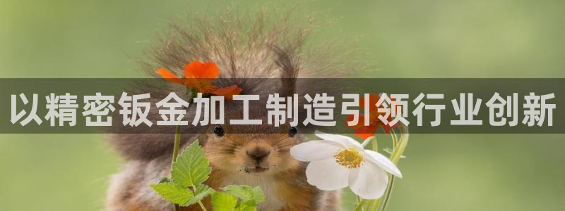彩神vlll官网网上购彩：以精密钣金加工制造引领行业创新