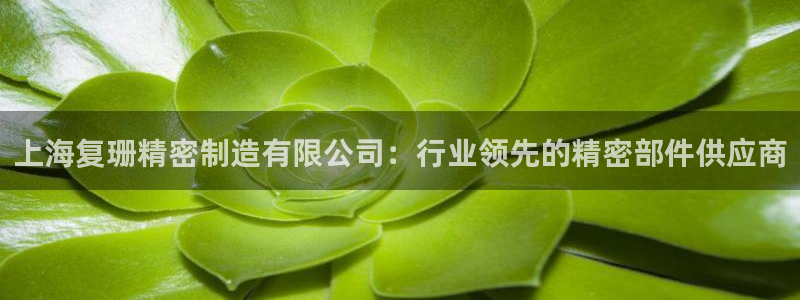 彩神系列平台：上海复珊精密制造有限公司：行业领先的精密部件供应商