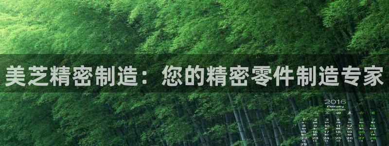 彩神ix官网：美芝精密制造：您的精密零件制造专家