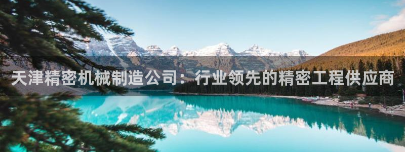 彩神是真的吗：天津精密机械制造公司：行业领先的精密工程供应商