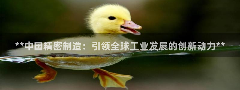 彩神8最新版下载：**中国精密制造：引领全球工业发展的创新动力**