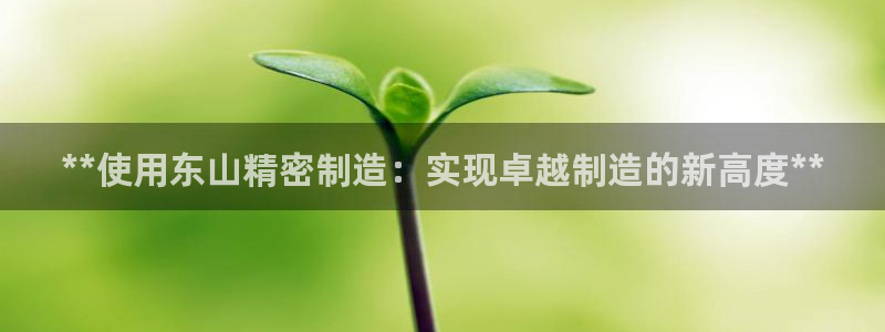 彩神正规吗：**使用东山精密制造：实现卓越制造的新高度**