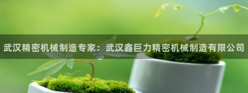 在彩神网输了六万多怎么拿回来