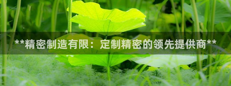 彩神iv是正规平台吗?：**精密制造有限：定制精密的领先提供商**