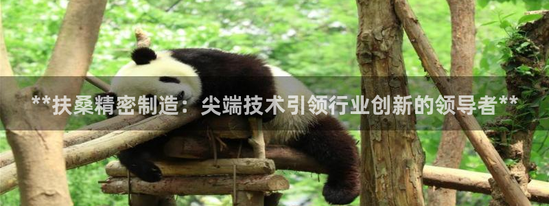 彩神vip官方网站：**扶桑精密制造：尖端技术引领行业创新的领导者**