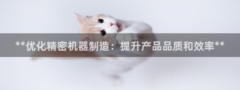 彩神ix是真的吗：**优化精密机器制造：提升产品品质和效率**