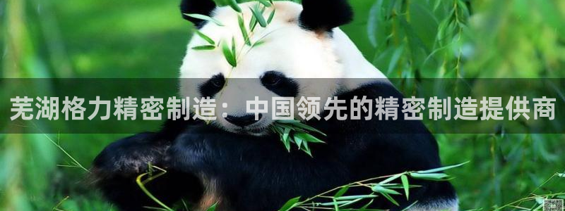 彩神vii官网：芜湖格力精密制造：中国领先的精密制造提供商