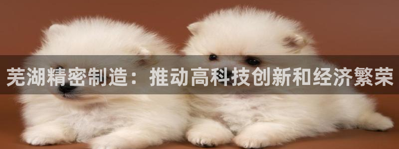 彩神v天天：芜湖精密制造：推动高科技创新和经济繁荣