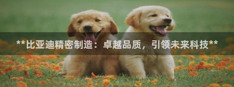 彩神v8是一个什么平台啊：**比亚迪精密制造：卓越品质，引领未来科技**