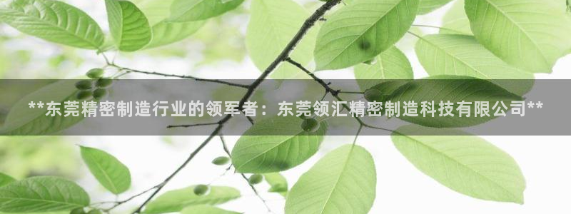 大发彩神官网下载：**东莞精密制造行业的领军者：东莞领汇精密制造科技有限公司**