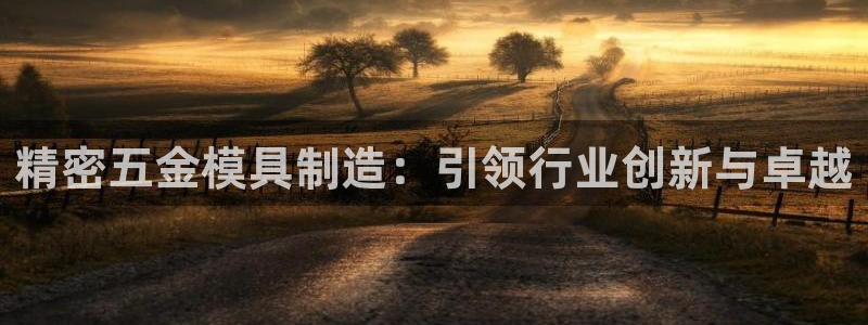 彩神Vll：精密五金模具制造：引领行业创新与卓越