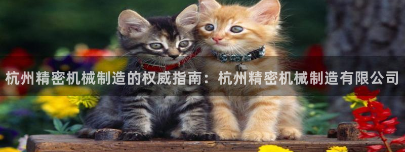 彩神赢了钱登录不上去：杭州精密机械制造的权威指南：杭州精密机械制造有限公司