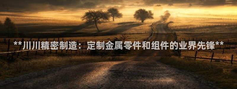 彩神iv争霸购彩大厅：**川川精密制造：定制金属零件和组件的业界先锋**