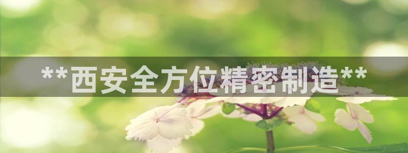 彩神8官网版是正规的吗：**西安全方位精密制造**