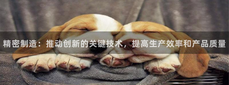 彩神是什么平台：精密制造：推动创新的关键技术，提高生产效率和产品质量