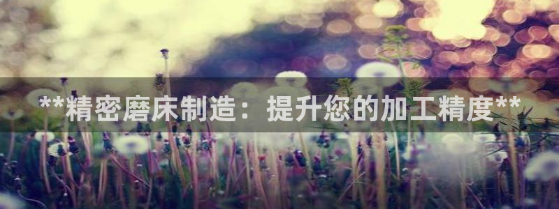 彩神iv争霸购彩大厅：**精密磨床制造：提升您的加工精度**
